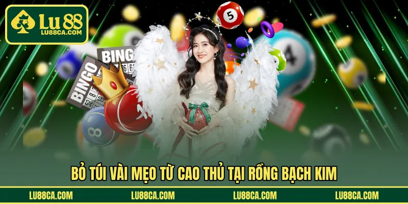 Bỏ túi vài mẹo từ cao thủ tại rồng bạch kim