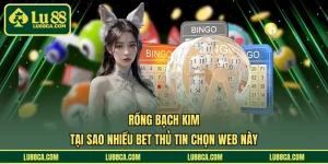 Rồng Bạch Kim - Tại Sao Nhiều Bet Thủ Tin Chọn Web Này
