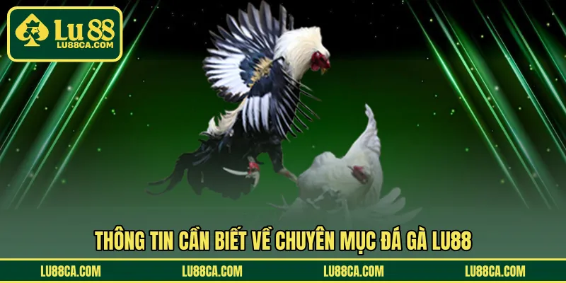 Thông tin cần biết về chuyên mục đá gà LU88