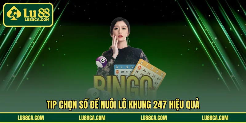 Tip chọn số để nuôi lô khung 247 hiệu quả