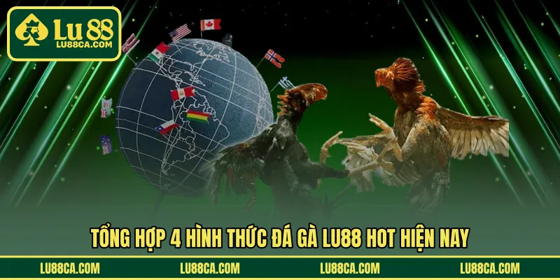 Tổng hợp 4 hình thức đá gà LU88 hot hiện nay