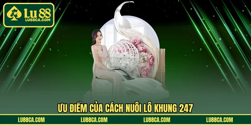 Ưu điểm của cách nuôi lô khung 247